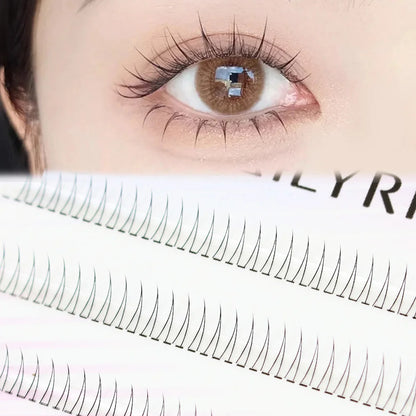 Natural Doll Eye Cluster Lashes